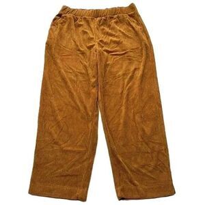Free Assembly Corduroy Pull On Pants Burnt Orange Color Womens Size Large NWT